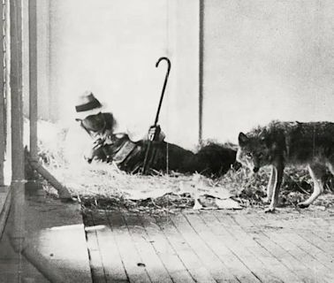 El coyote de Beuys: a 50 años de una performance provocativa