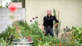 On a block full of lawns, she ditched grass for a DIY drought-tolerant oasis