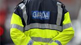 Bodies of two men in 40s found in Dublin's Grand Canal as scene sealed off