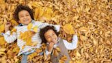 To rake or not to rake? What's happening beneath a layer of fall leaves
