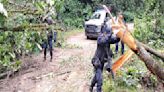 Lluvias pegan en cinco regiones de Oaxaca