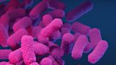 Study highlights global rise in drug-resistant priority pathogens