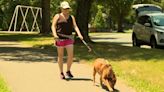 What Montgomery County dog walkers are doing to handle the heat