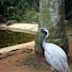 Umgeni River Bird Park