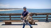 Scores of starving brown pelicans found on Southern California beaches