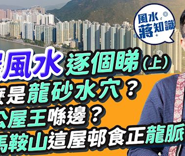 香港公屋風水（上）：港島公屋王人才輩出全靠「一四同宮」旺文昌！清拆起私樓風水會變？甚麼是龍砂水穴？地方風水要睇埋XX！馬鞍山只有這屋邨「食正」龍脈出紅星名人 | 風水蔣知識