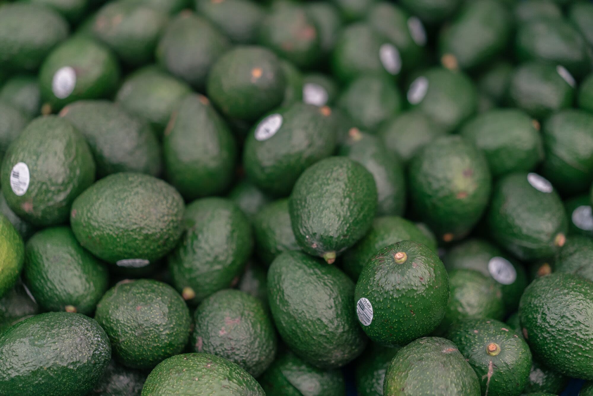 Mexico, US Reach Deal to Resume Avocado Shipments, Governor Says