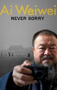 Ai Weiwei: Never Sorry