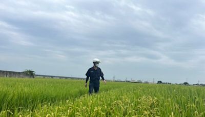 臺南阿伯失蹤4天 白河警持續積極搜索 | 蕃新聞