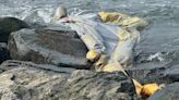 Emergency Slide That Fell From Delta Flight Is Recovered From Queens Jetty