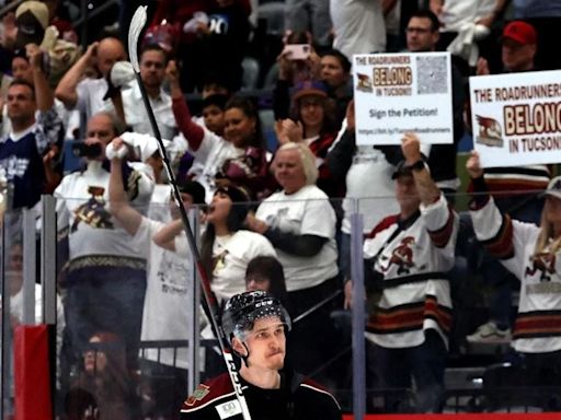 Report: Arizona Coyotes owner Alex Meruelo plans to relocate Tucson Roadrunners to Reno