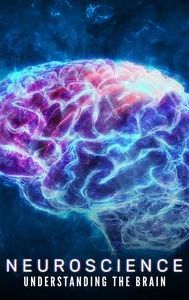 Neuroscience: Understanding The Brain