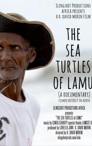 The Sea Turtles of Lamu