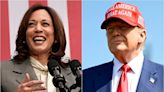 ¿Kamala Harris vs. Donald Trump? Cómo será la inédita votación en línea que definirá al candidato demócrata