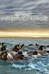 Great Migrations