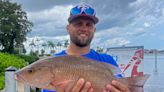 Freshwater: The mangrove snapper bite is as good as it gets for area anglers