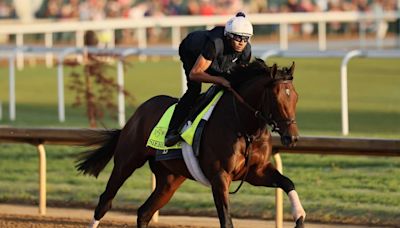 Betting on the Kentucky Derby? Here’s how to think like a professional handicapper.