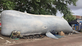 Newark: Explorers invited to walk inside inflatable whale