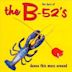 Best of the B-52's: Dance This Mess Around