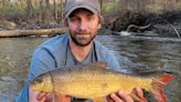 It’s not just about the walleyes: Celebrating native rough fish species