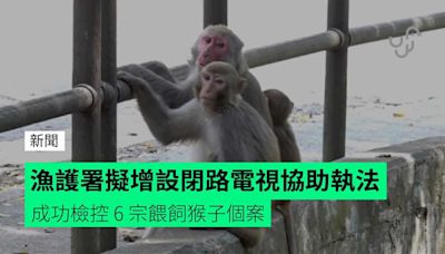 漁護署擬增設閉路電視協助執法 成功檢控 6 宗餵飼猴子個案