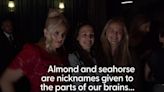 Stars attend the UK premiere of The Almond and the Seahorse