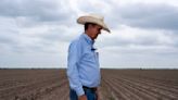 South Texas farmers are in peril as the Rio Grande Valley runs dry — again