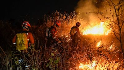 Em meio a recorde de queimadas, Brasil tem apenas 374 pessoas presas por crimes ambientais