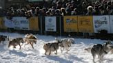 Yukon Quest is the world's toughest dog sled race, especially in 2006
