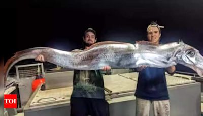 Can Oarfish, the Doomsday Fish actually warn an earthquake - Times of India