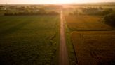 Drought conditions across much of Kansas could cost wheat farmers more than $1 billion