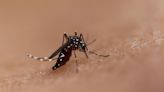 Rare local case of mosquito-borne dengue virus confirmed in Baldwin Park