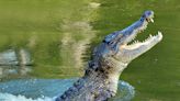 A man narrowly escaped death by prying a crocodile's jaws off his head in Australia