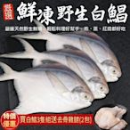 贈雞腿【海陸管家】鮮嫩野生白鯧魚3尾(每尾220g-280g)