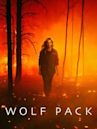 Wolf Pack (serie televisiva)