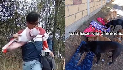 ¡Héroe sin capa! Convierte “basura electoral” en camas para perritos de la calle y es viral en TikTok