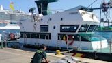 La Guardia Civil intensifica la vigilancia contra la pesca ilegal del atún rojo en la provincia de Alicante