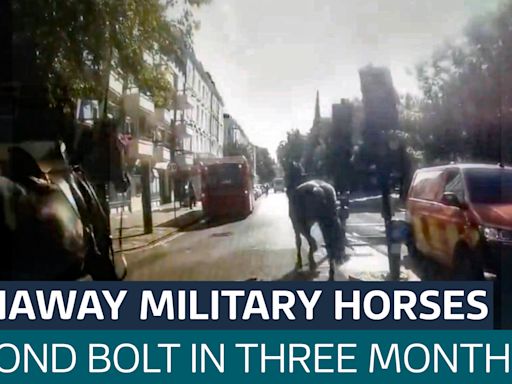 Runaway military horses bolt through London again after losing riders - Latest From ITV News