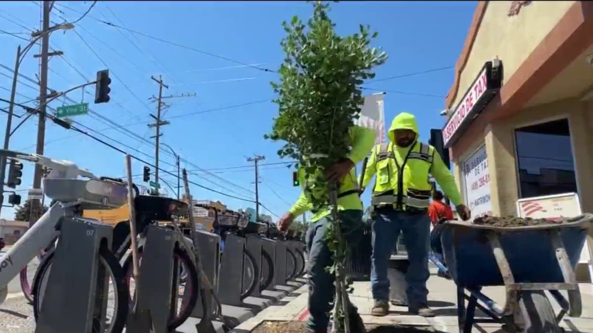 City plants dozens of trees to increase shade, beautify San Jose neighborhood
