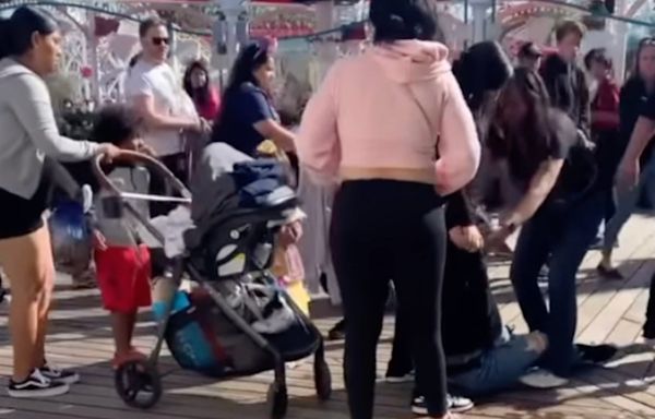 Wild fight breaks out between group of moms with strollers at Disneyland