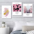 TROMSO 時尚無框畫-粉紅優雅
