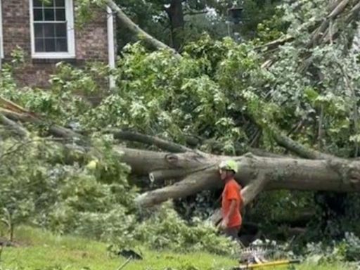 Isolated damage from Wednesday's storm, tornadoes hits Columbia neighborhood: "Heard a freight train coming"