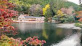 日本九州湯布院夢幻景點～早晨前往金鱗湖賞晨霧氤氳美景，水上神社鳥居好好拍！