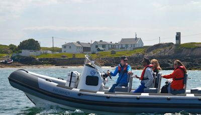 Donegal sea safaris make waves this summer! - Donegal Daily