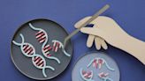 FDA Approves First Gene Therapy for Duchenne Muscular Dystrophy