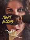 Night Blooms