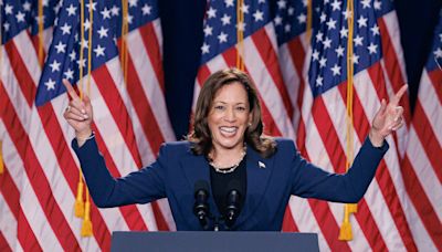 Kamala Harris rallies Wisconsin crowd in campaign kickoff, pulls no punches. 'I know Donald Trump's type'