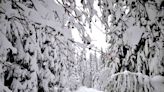 This U.S. Ski Resort Gets More Than 400 Inches of Snow a Year — and Sits on an Active Volcano