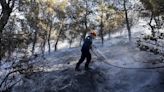 Firefighters tackle blaze on Greek island of Chios as premier warns of ‘dangerous summer’