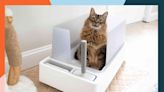 The 15 Best Cat Litter Boxes of 2024, Tested and Reviewed